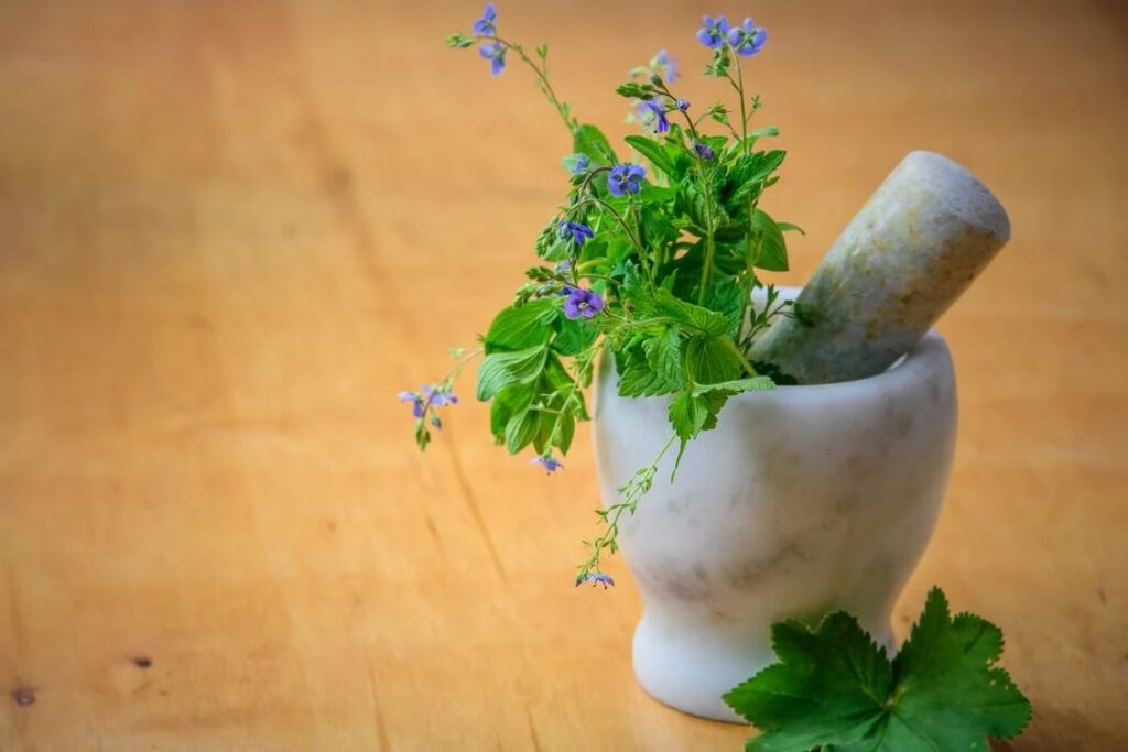 What Is a Certified Traditional Naturopath?