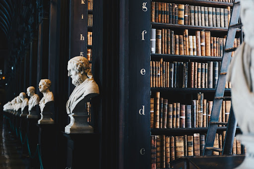A law school library filled with books and the busts of famous thinkers
